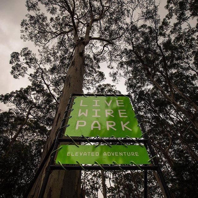 We Love Lorne tweet media