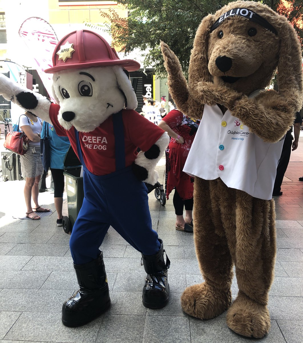 SA_MFS's tweet photo. Can you believe it's been a week since Alex became the #BestFirefighterEver? We can't help but smile at this great shot of @APFFCHARITY mascot #Deefa the #FireDog with @childhoodcancr mascot #Elliott during the event in @rundlemall. #FotoFriday #woof #cute https://t.co/6KtedHsoAC