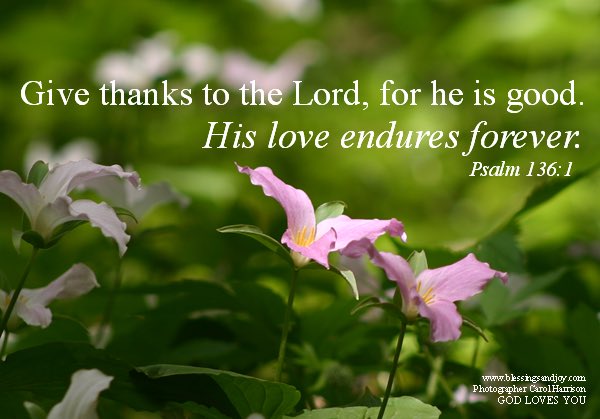 Agape Cleveland tweet media