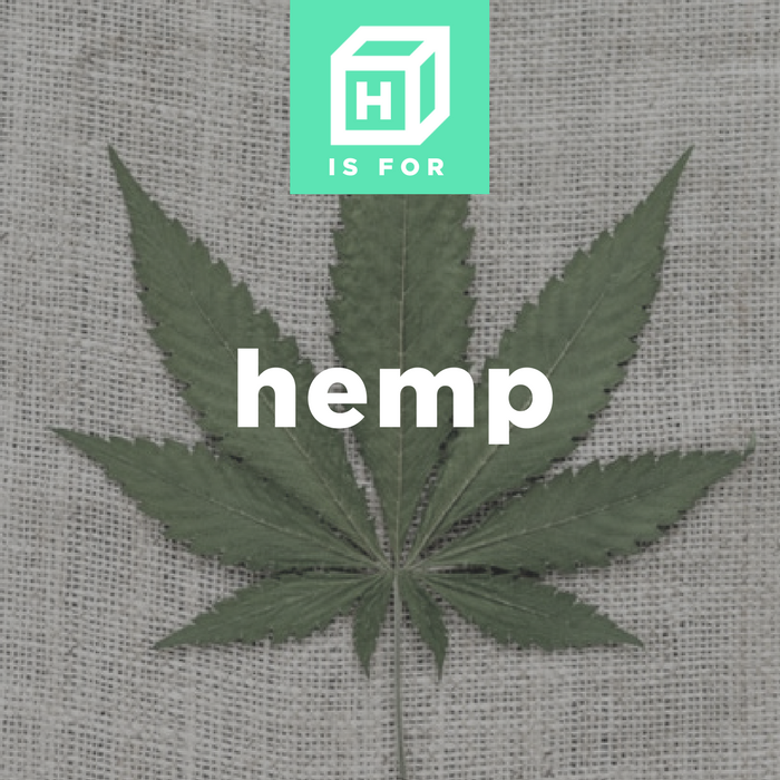 hellogramsly's tweet photo. Hemp, or industrial hemp is typically found in the northern hemisphere, is a variety of the Cannabis sativa plant species that is grown specifically for the industrial uses of its derived products. #hemp #hempoil #ABCsofCBD #hemp https://t.co/EMnic9jaZN