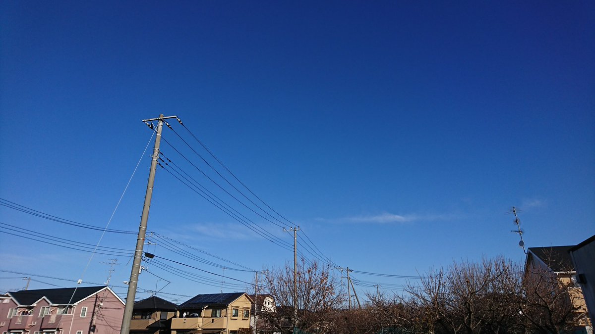 1975121Y tweet picture