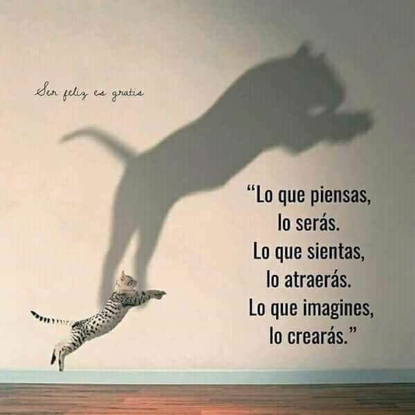 Fernanda0503's tweet photo. #JuevesDedicaFoto @ContreMed @PEPE_VALDES1 @ColochaRuns @azukar04 @AlfUgarte @Only_Jessi @Jmartorrs @Juanma_ak @timijaguar @blackboxstar @LoveRunSmile @RaptorsRT @Elecktro_Raptor @bastidalex @Ro2409Soto @princesalaguner @flacarunner https://t.co/pEZY3XwM04