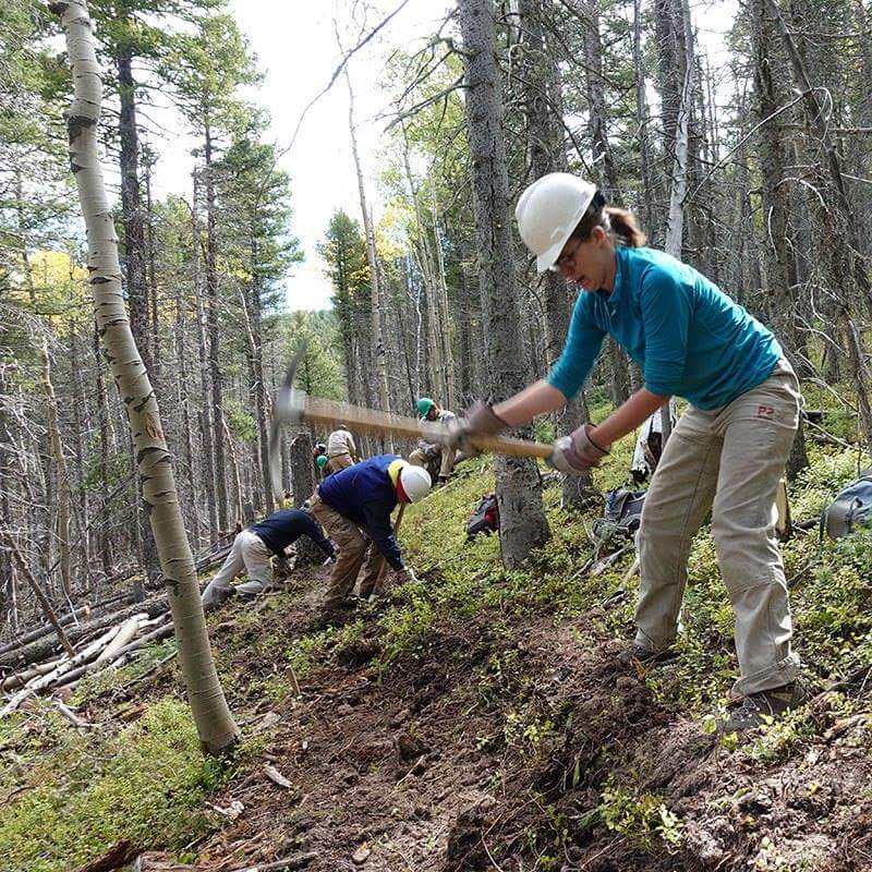 dollie_oneill's tweet photo. 2018 PSA Volunteer Vacation Registration opens today! #IWGBTP #TrailBuilding #VolunteerVacation #Philstaff
https://t.co/QRhX38zeMo https://t.co/niiyxiQuN3