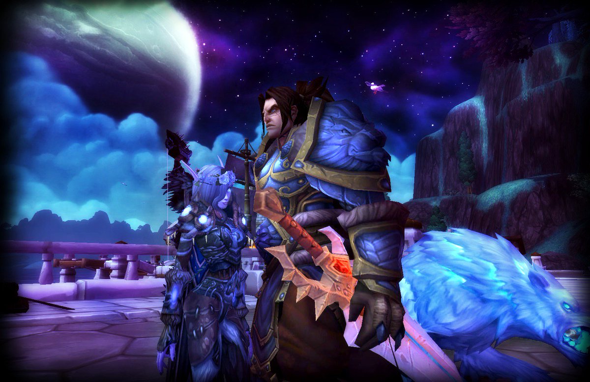 NamuratheLock's tweet image. A few left over shots of my Velf hunter! #Warcraft #warcraftselfie #Velf #Varian #WoW