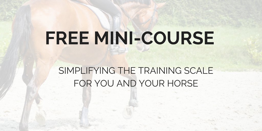 LornaLeeson's tweet photo. Unsure of how the training scale can work for you &amp; riding? This is for you... #Equestrian https://t.co/htBhxJUzJT https://t.co/bmKE1MFDHX