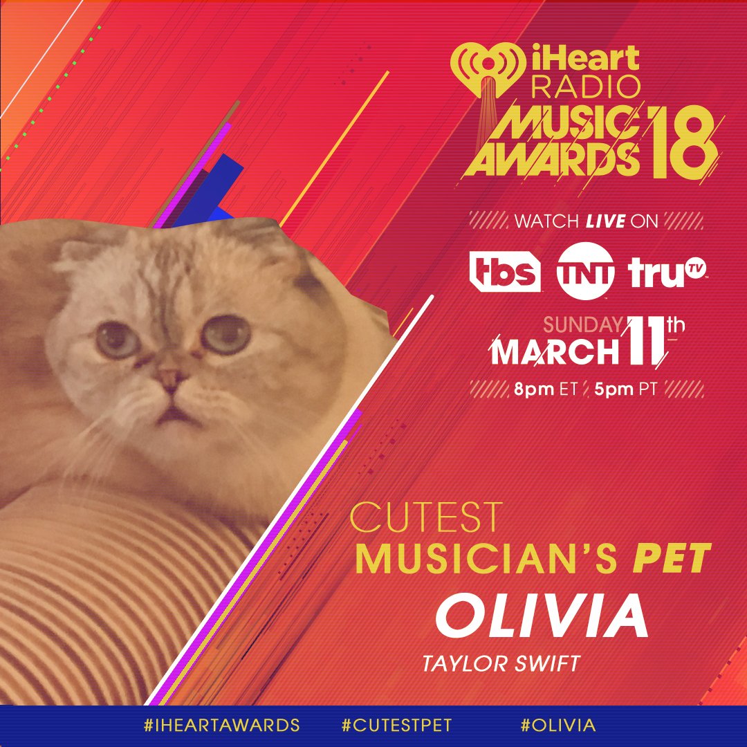 iHeartRadio's tweet image. Today is the last day to vote! RT to vote for #Olivia for #CutestPet! #iHeartAwards

❤️: @taylorswift13