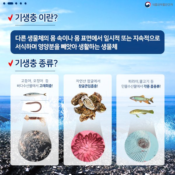 kfda_window's tweet photo. 반드시 알아두어야 할 기생충 상식! https://t.co/QL3pxCZBhv