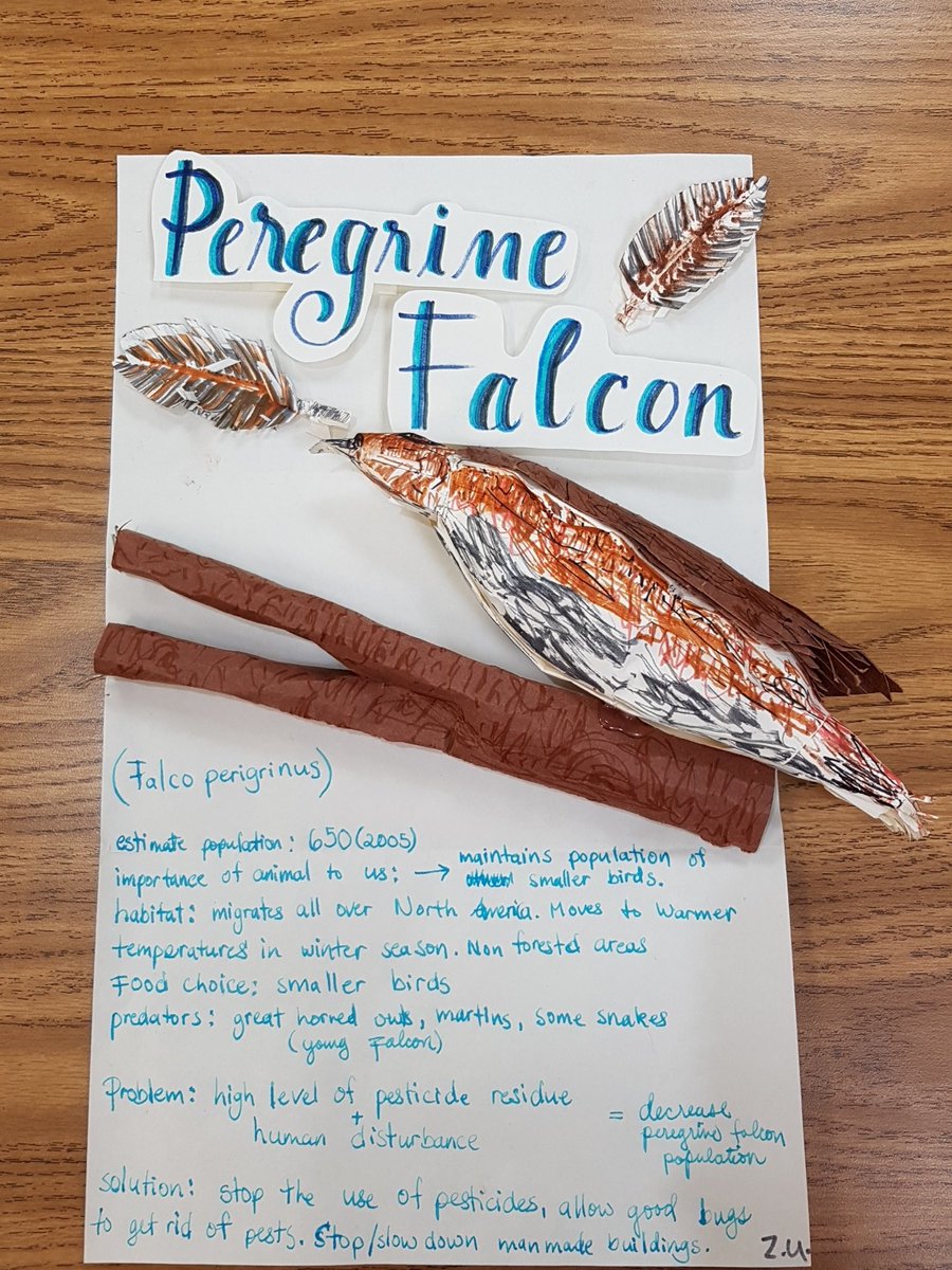 emond_dayle's tweet image. #saderscience Our students are amazing! Beautiful 3D poster made by one of our sader scientists to raise awareness for this endangered Canadian bird species.