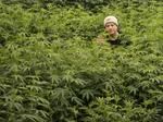 CannaRoad's tweet photo. Exclusive: Here are the #Oregon counties where the most pot is sold https://t.co/uQDeyc4vKP @PDXBIZJournal @PBJBizPete #cannabis https://t.co/9ndC5XEgEI