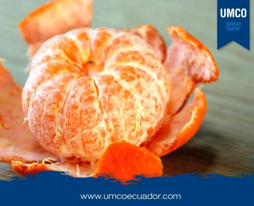 UmcoHogar's tweet photo. Tips #UMCO

Retira la corteza de los cítricos con facilidad.

Pon la fruta (naranja, limón o mandarina) en el microondas por 20 segundos, después de eso podrás realizar este proceso más rápido. https://t.co/DNahn76NDX