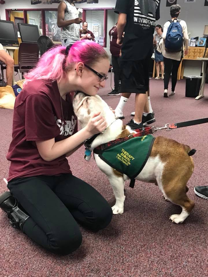 AATHSBC's tweet photo. It’s an honor to be part of the comfort and healing process at MSD.
#MSDStrong #ReclaimTheNest #TherapyDogs @PrincipalMSD https://t.co/Rj48HSDIEc https://t.co/DmnYVAeKyS