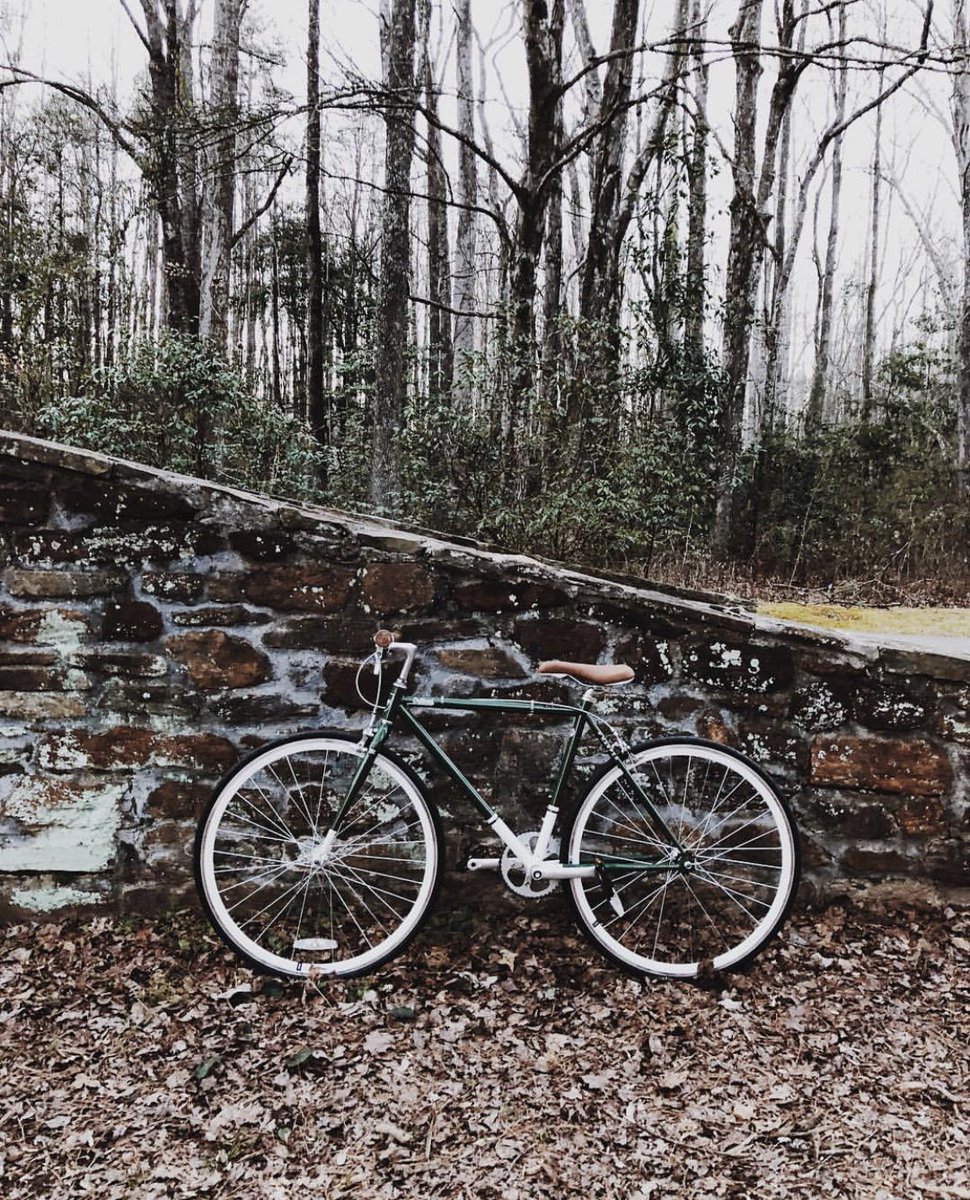 CriticalCycles's tweet image. Adventure calls, we answer // 📸: Carissa Grace