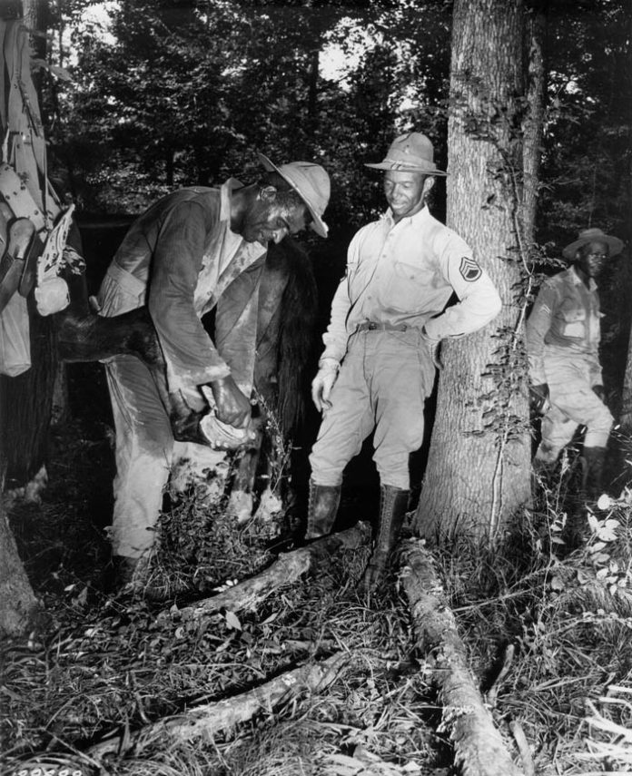 Mitchael tweet media