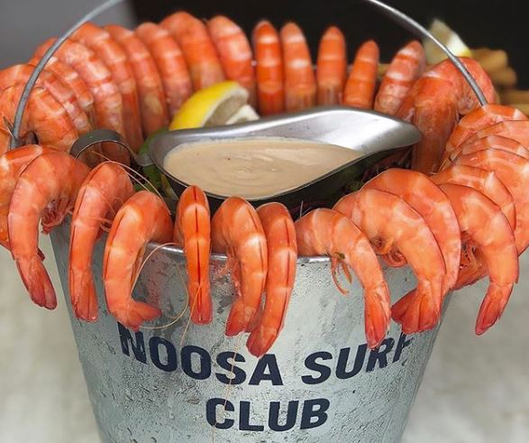 Noosa Surf Club tweet media