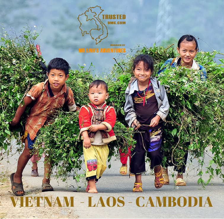 mrlinhadventure's tweet photo. New travel product in Asia: Mr Linh’s Adventures takes travellers off-the-beaten-track
#trusteddmc #patamember #pata #newtravelproduct #mrlinhadventure #itbberlin #itbberlin2018
- See more at: https://t.co/77G3CXFc4B https://t.co/fWremVvZoY