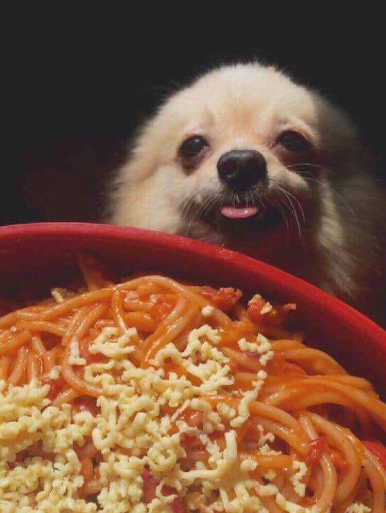 bröther may i have one späghet