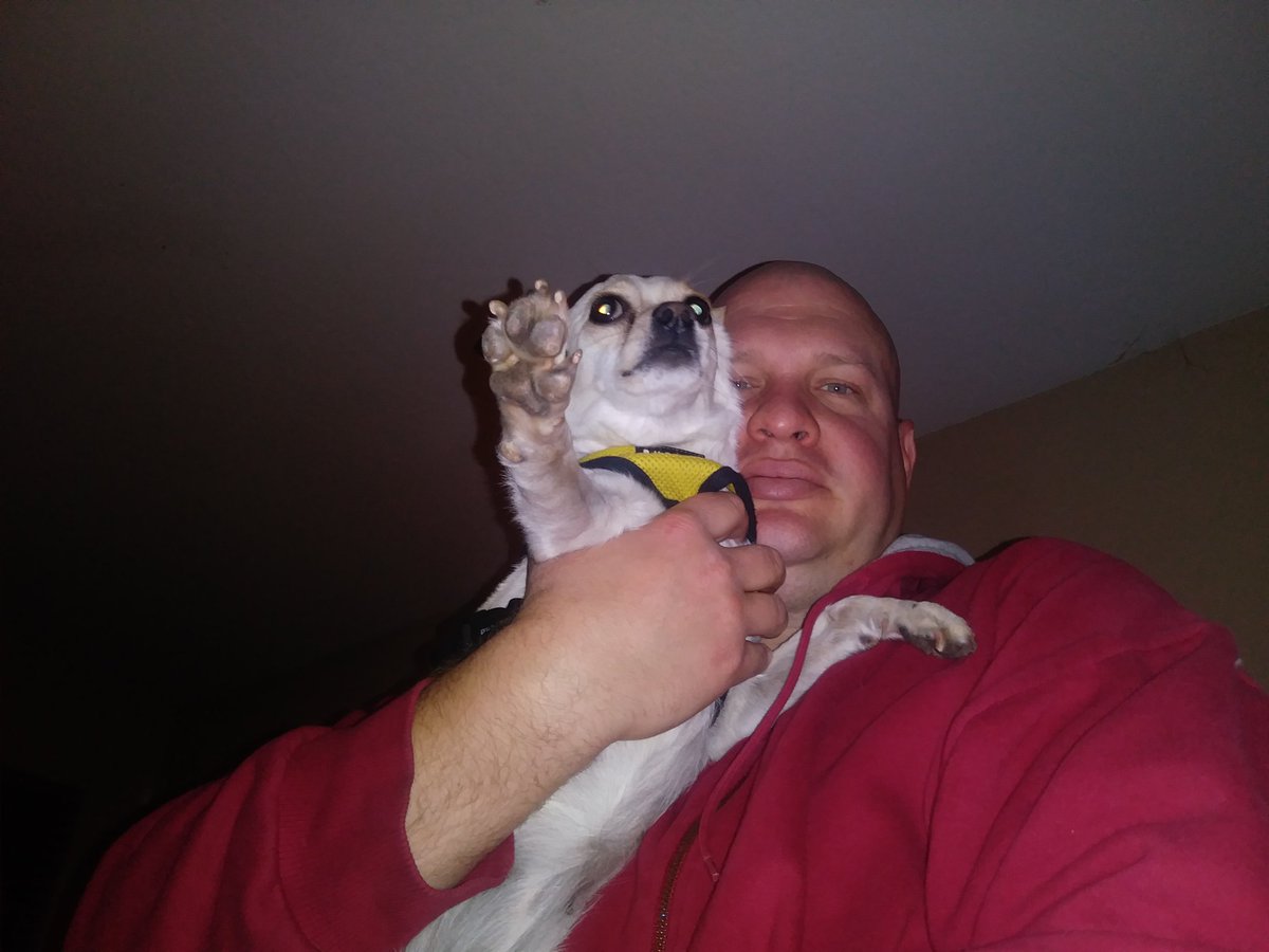 ChiLoProject's tweet image. 