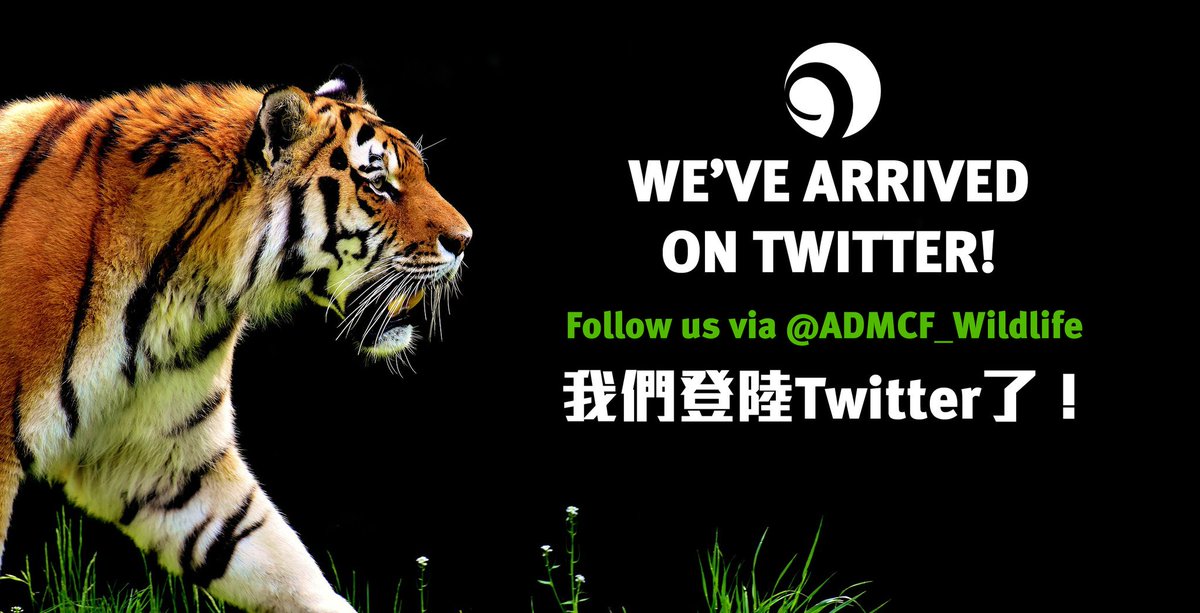 ADMCF_Wildlife's tweet photo. We have arrived on @Twitter! 我們登陸 Twitter 了!

Follow us via @ADMCF_Wildlife for updates &amp; news about #wildlifecrime, #wildlifetrade and #conservation in #HongKong and around the world! 我們關注 #香港 及 #世界 #野生動物 #消息, #貿易, #罪案.  為保育野生動物出一分力. https://t.co/OnwceeCpPj