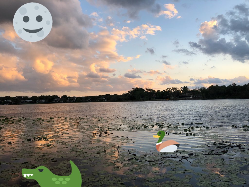 AuthenticFL's tweet photo. Such a gorgeous, pastel sunset tonight in Winter Park ... followed by an incredible moon sighting that literally took our breath away. #LoveFL #Move60 #nofilterneeded #TwitterStickers #AuthenticFloridians #HealthyCentralFlorida https://t.co/R9K0hPjzQ1