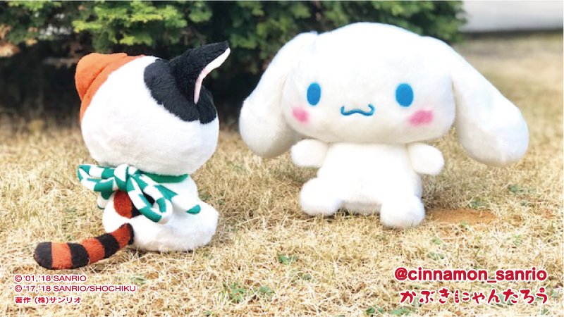 シナモン【公式】 в X: „にゃんたろう君、ぼくに歌舞伎のこと シナモン【公式】 в X: „にゃんたろう君、ぼくに歌舞伎のこと