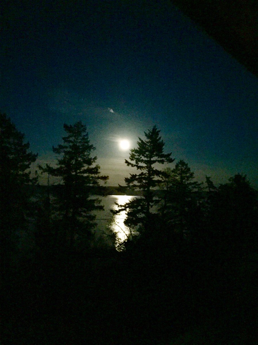 saltspringsalt's tweet image. When the #moon hits your eye like a big pizza pie #Saltspring #FullMoon #westcoast