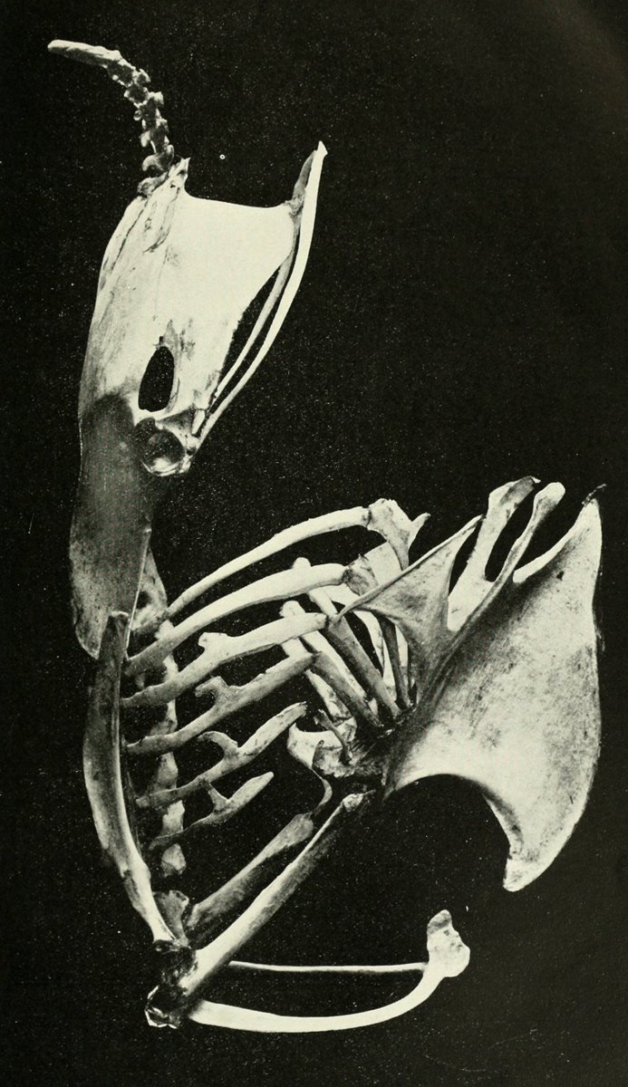 Archillect (@archillect) on Twitter photo 