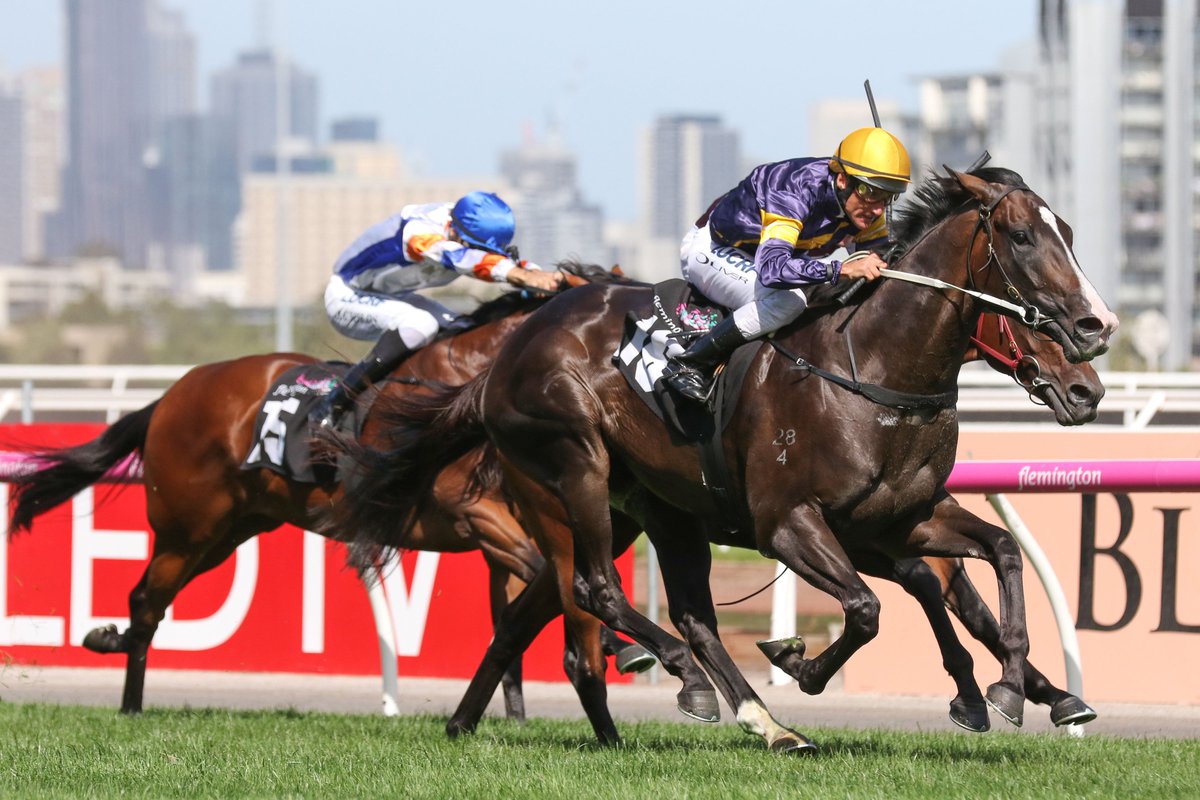 10 out of the 16 horses running in tomorrow's Group 1 Australian Guineas are either NZB graduates, Kiwi bred, trained, or ridden. Who have you got? #wherewinningbegins <a href="/busuttin/">Busuttin Racing</a> <a href="/OTIRacing/">OTI Racing</a>  <a href="/WaikatoStud/">Waikato Stud</a> <a href="/brighthillfarm/">Brighthill Farm</a> <a href="/BBakerRacing/">Bjorn Baker Racing</a> <a href="/TeAkauRacing/">Te Akau Racing</a> <a href="/WestburyStud/">Westbury Stud</a> <a href="/CambridgeStud/">Cambridge Stud</a>