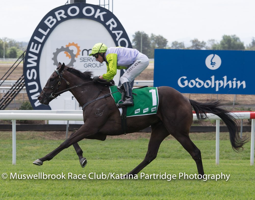 thebrookracing's tweet photo. ELKANO won R2 Wild Card Race Day 1st April Maiden Hcp 1450m. RT 1.29.56 ST 35.45 Margins 1.5 x 1.75 lengths @ClareCRacing #GregRyan https://t.co/zpYpR4xhBG