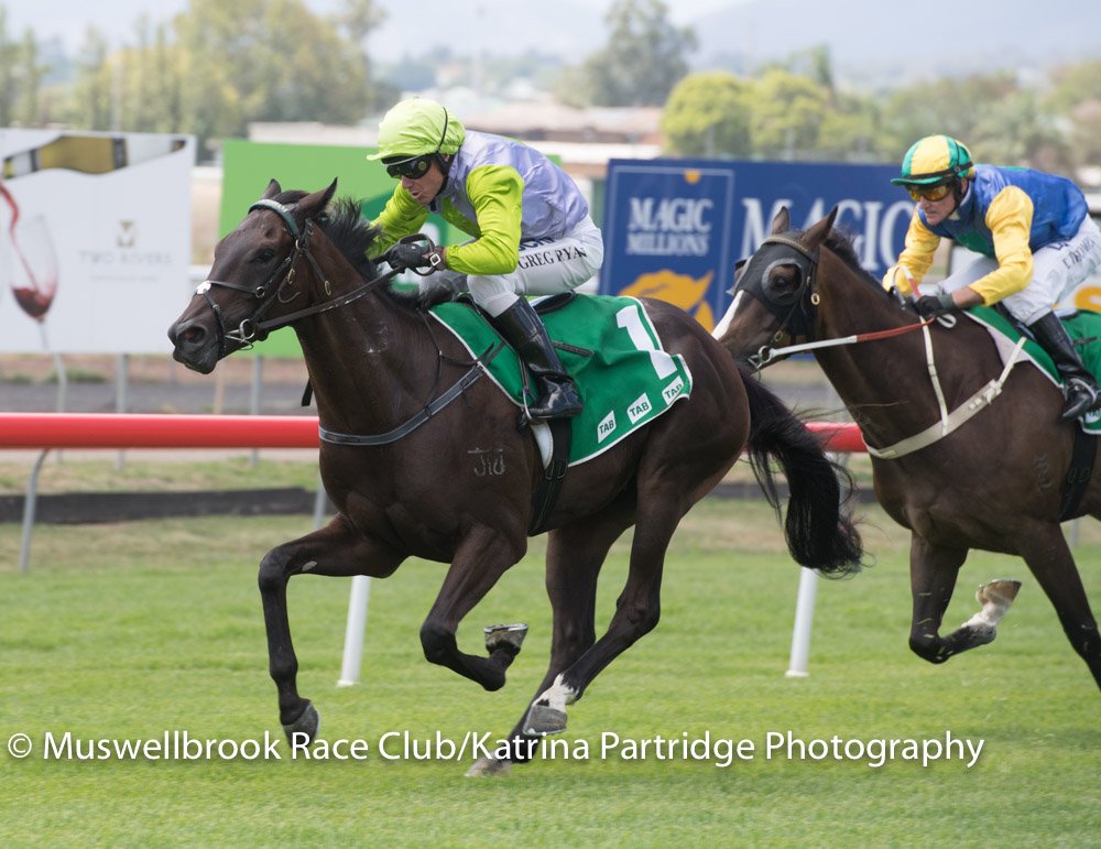 thebrookracing's tweet photo. ELKANO won R2 Wild Card Race Day 1st April Maiden Hcp 1450m. RT 1.29.56 ST 35.45 Margins 1.5 x 1.75 lengths @ClareCRacing #GregRyan https://t.co/zpYpR4xhBG