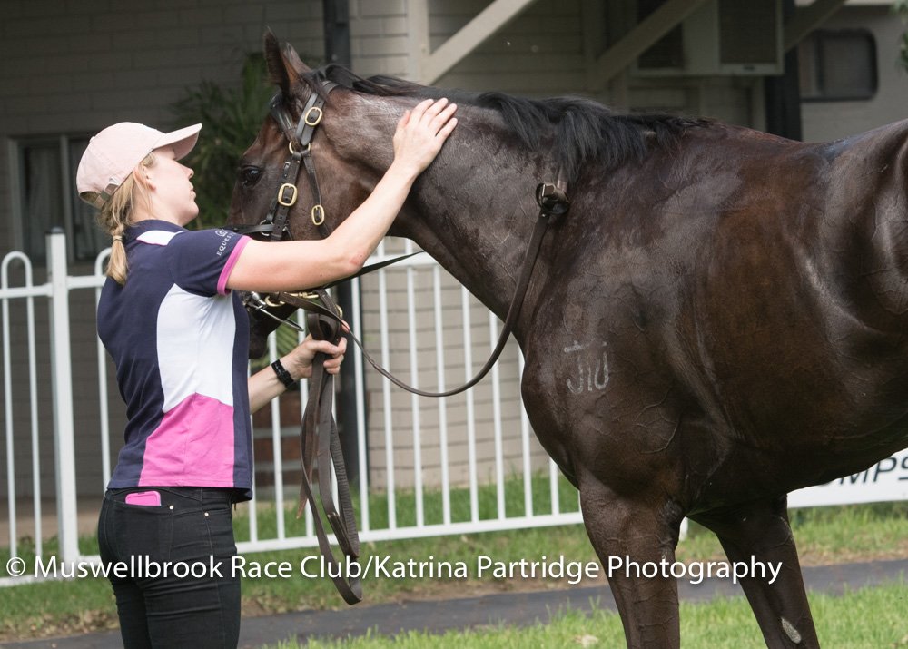 thebrookracing's tweet photo. ELKANO won R2 Wild Card Race Day 1st April Maiden Hcp 1450m. RT 1.29.56 ST 35.45 Margins 1.5 x 1.75 lengths @ClareCRacing #GregRyan https://t.co/zpYpR4xhBG