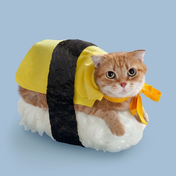 Resurrectedd's tweet photo. Tranki que se esta comiendo otro tipo de sushi https://t.co/nyCaXWEzrt