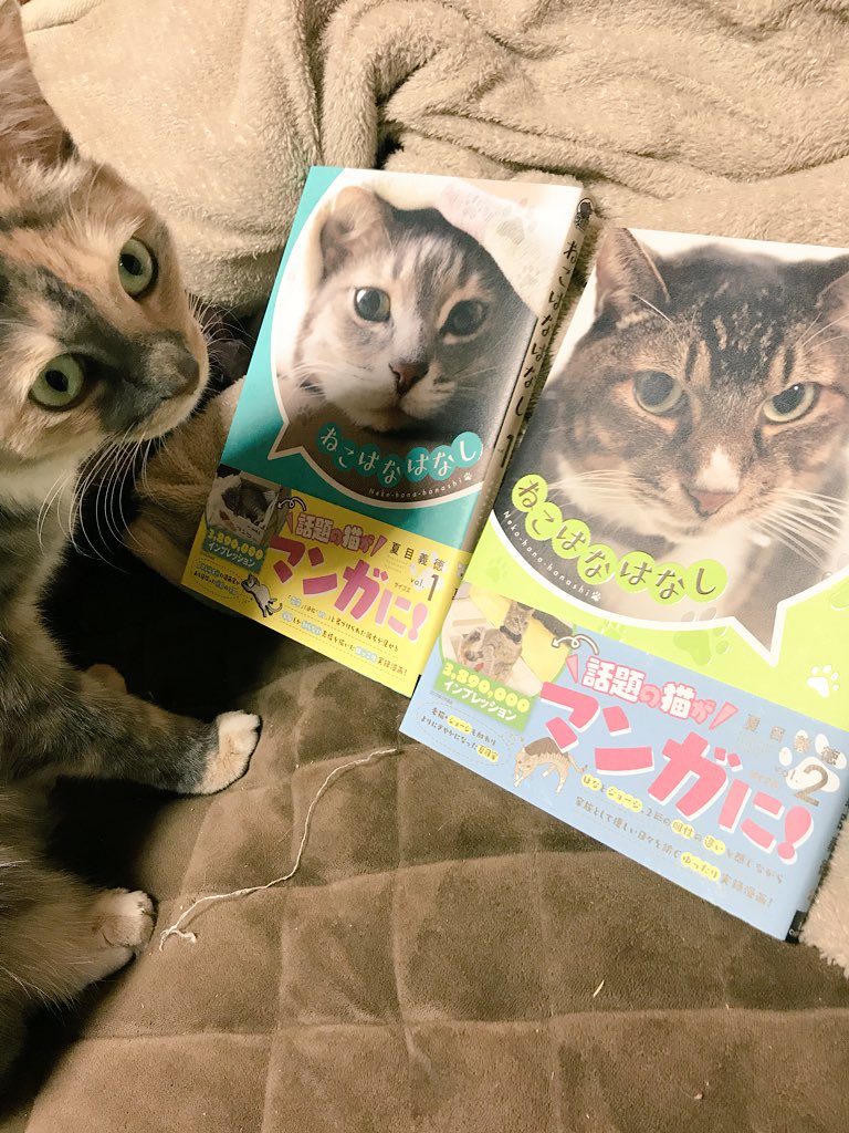 ねこはなはなし