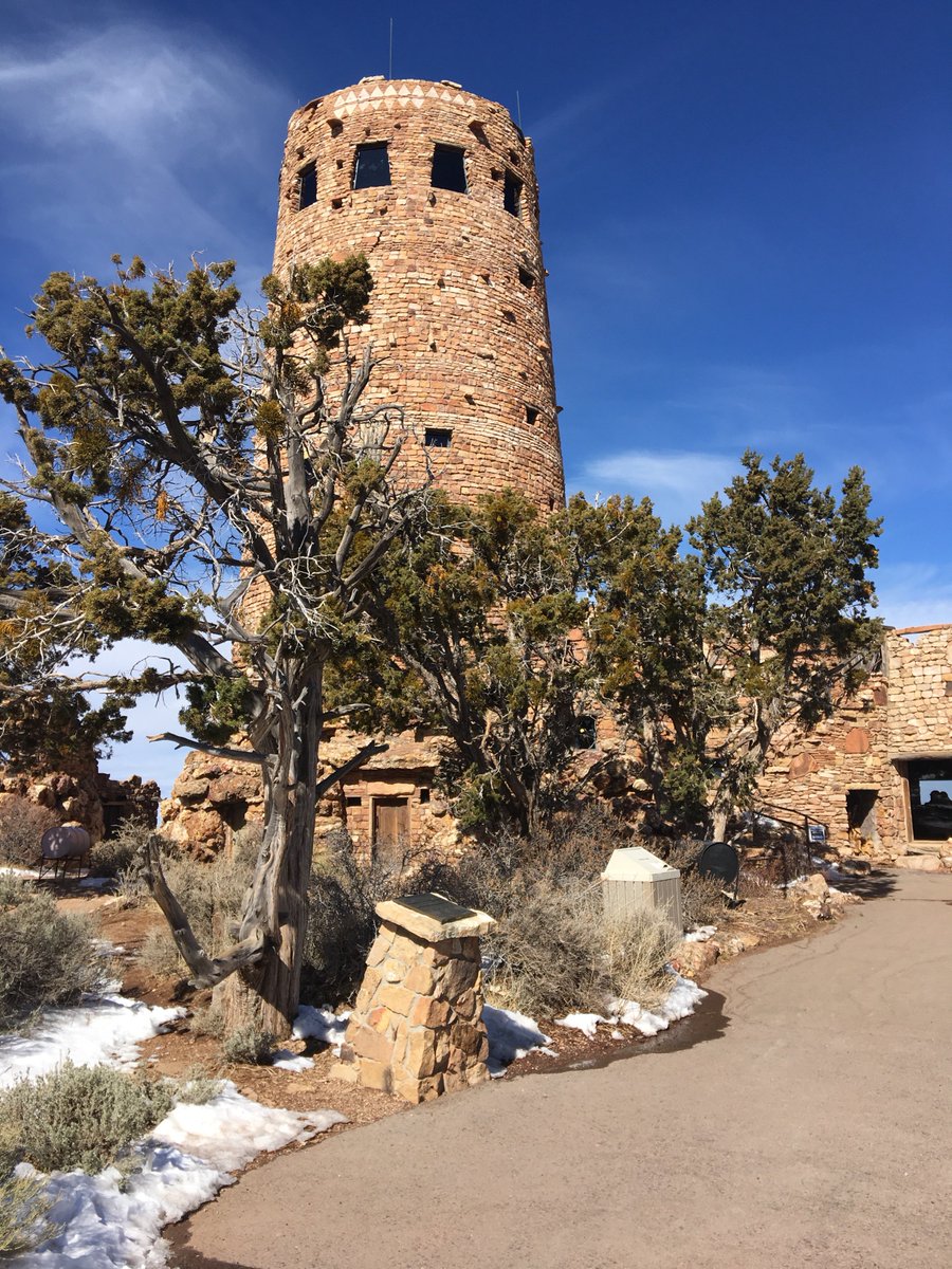 Danielle Heintz tweet media