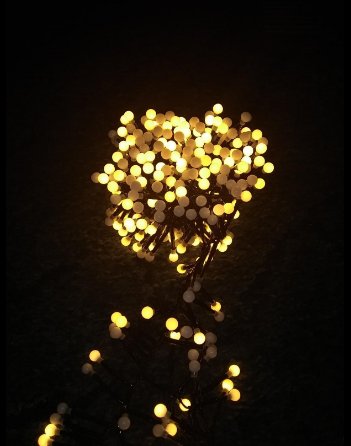 Tomshine01 tweet picture
