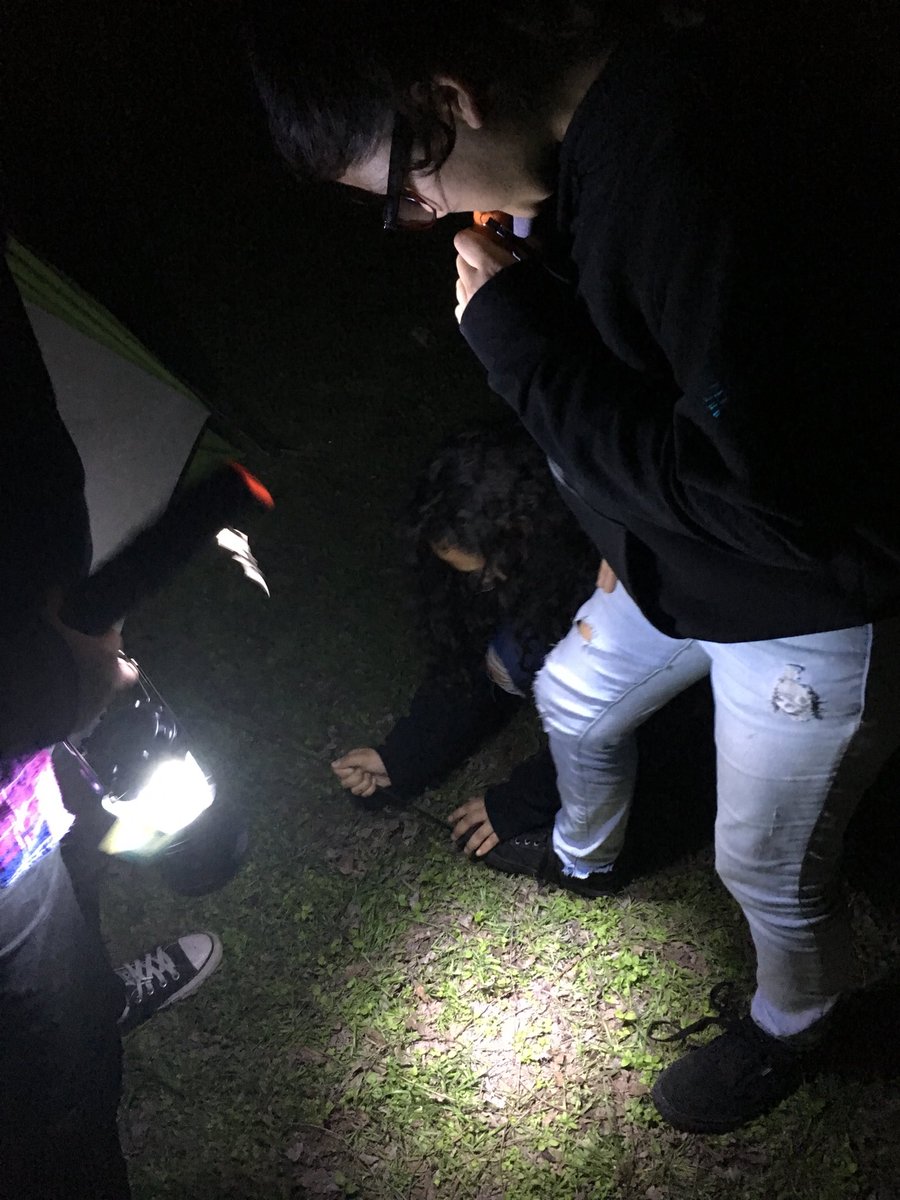 PattyKingsway's tweet photo. Last stake in the ground before inspection. There are many little pecans under the tent and we are just going to make it work! @garnerstatepark #ServiceLearning #LegacyMS @ECISDtweets https://t.co/imZ6Ii2SKD