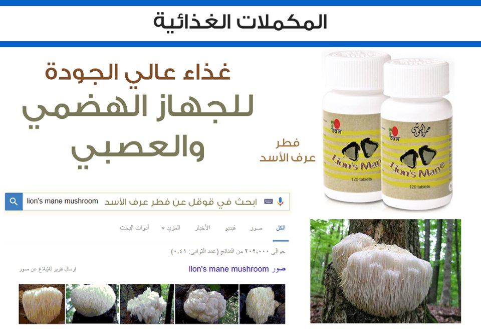abo_mudaffar's tweet photo. https://t.co/6tmxd8i9tH