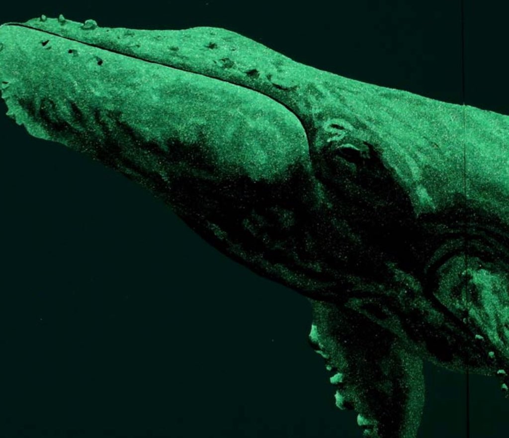 ItalyinLA's tweet photo. When design meets sustainability: valuable art-works focused on sea life and marine wildlife conservation against illegal fishing by artist and architect #MassimoCatalani #vivereALLitaliana #ItalianDesignDay 🇮🇹👏 https://t.co/FB27oIQjwM
