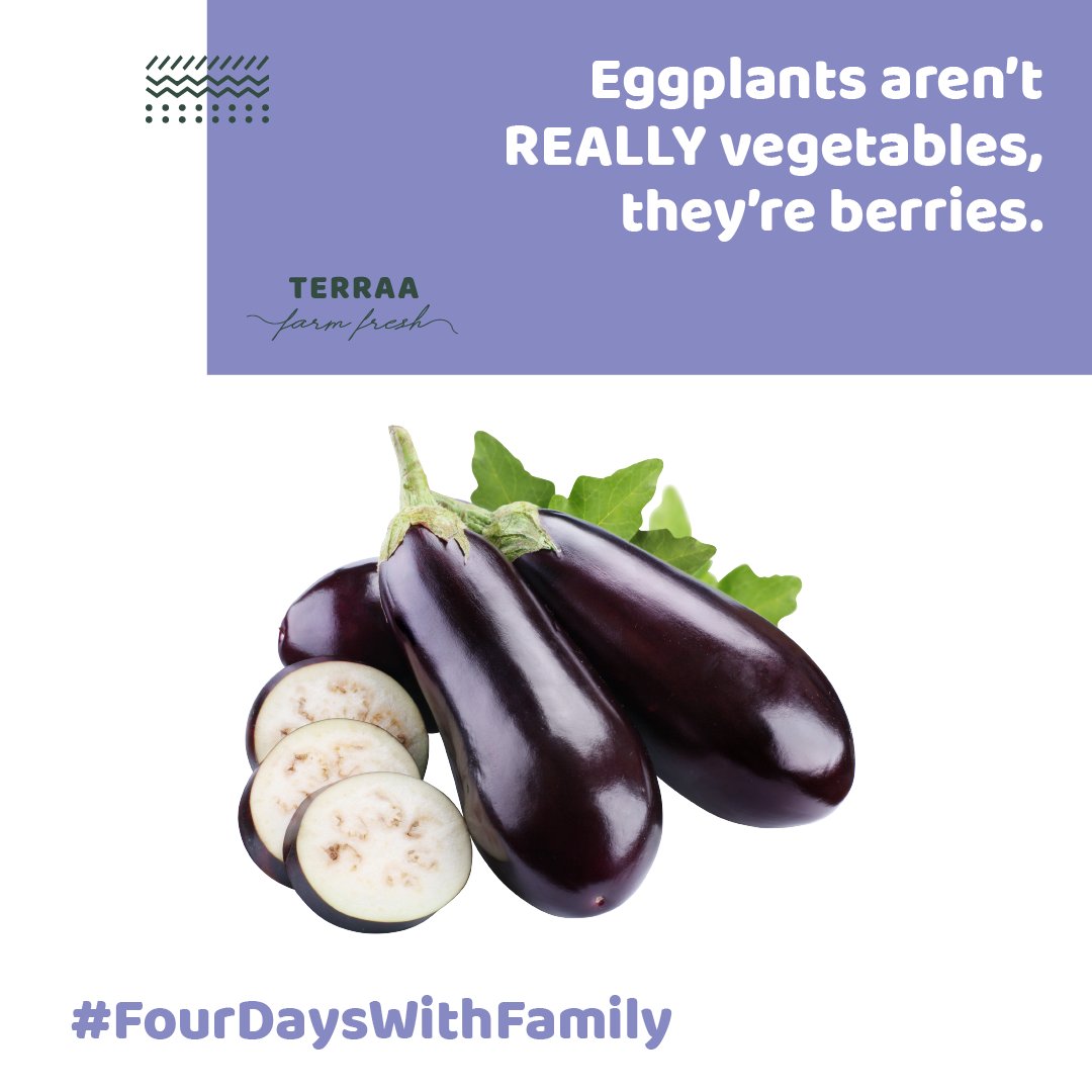 helloTerraa's tweet photo. Believe it or not, eggplants make you fall in love with every share of blue and purple, if not the dishes. #FourDaysWithFamily https://t.co/sQLzLYuQiT