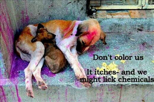 akshaykumar's tweet photo. This Holi be kind, don't throw color on animals 🙏🏻 

Wishing you all a colourful and #HappyHoli

आप सब को होली की शुभकामनाएँ। https://t.co/mFB0jSc9SC
