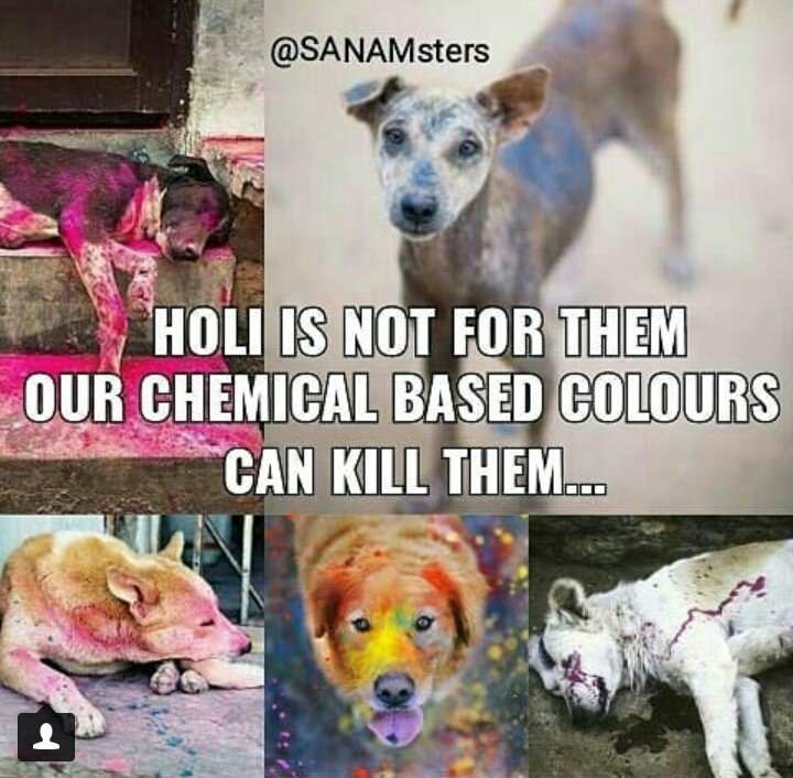 SimaKhatun12's tweet photo. Holi is not for them ..🐕🐕
Our chemical based colours can kill them.. plzz #BeCareful about it ..🙏🙏
And if u see this tweet then share it..
#HappyHoli and #HaveASafeHoli ❤
@Sanamsters @sruthibabu1 @Sanam_Official @kurianben @sanam_oishika @sanamian_ritu @ZSanamian ❤ https://t.co/KXx6JLrizs