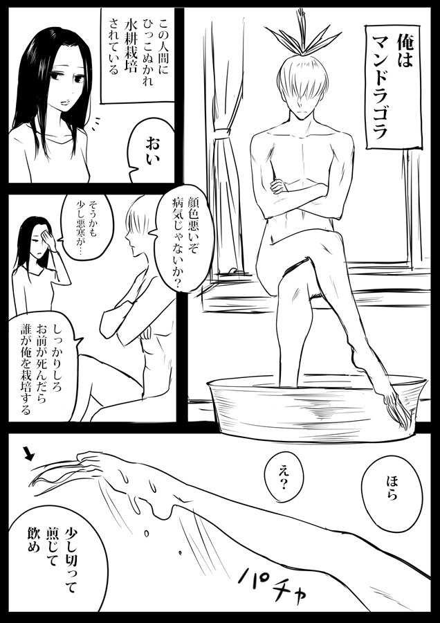 大人の女性とマンドラゴラの話 