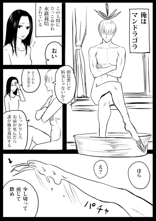 引っこ抜いた時に叫ぶと言われるマンドラゴン！そんなマンドラゴンが叫ばなかった理由は？