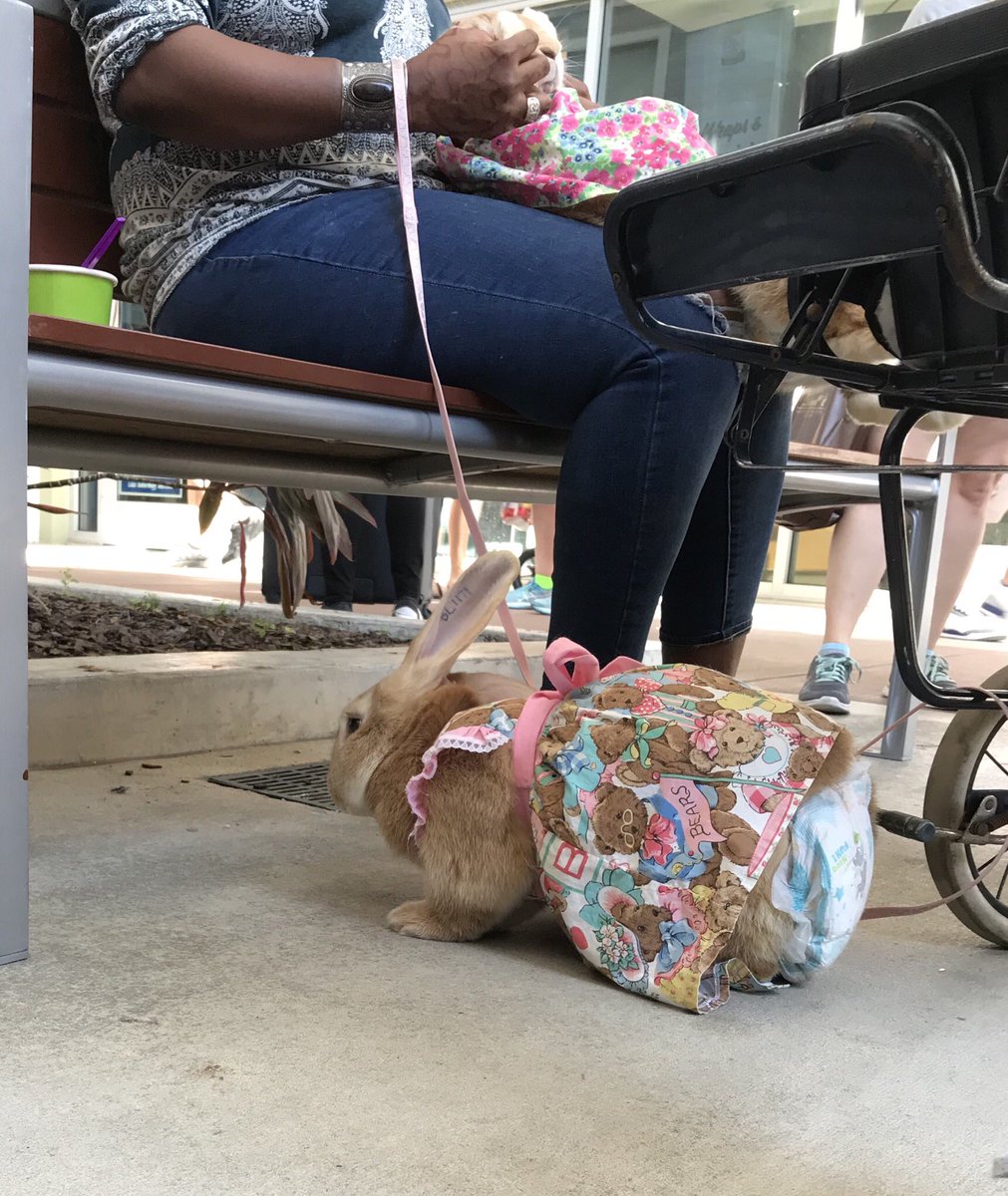 bunny stroller