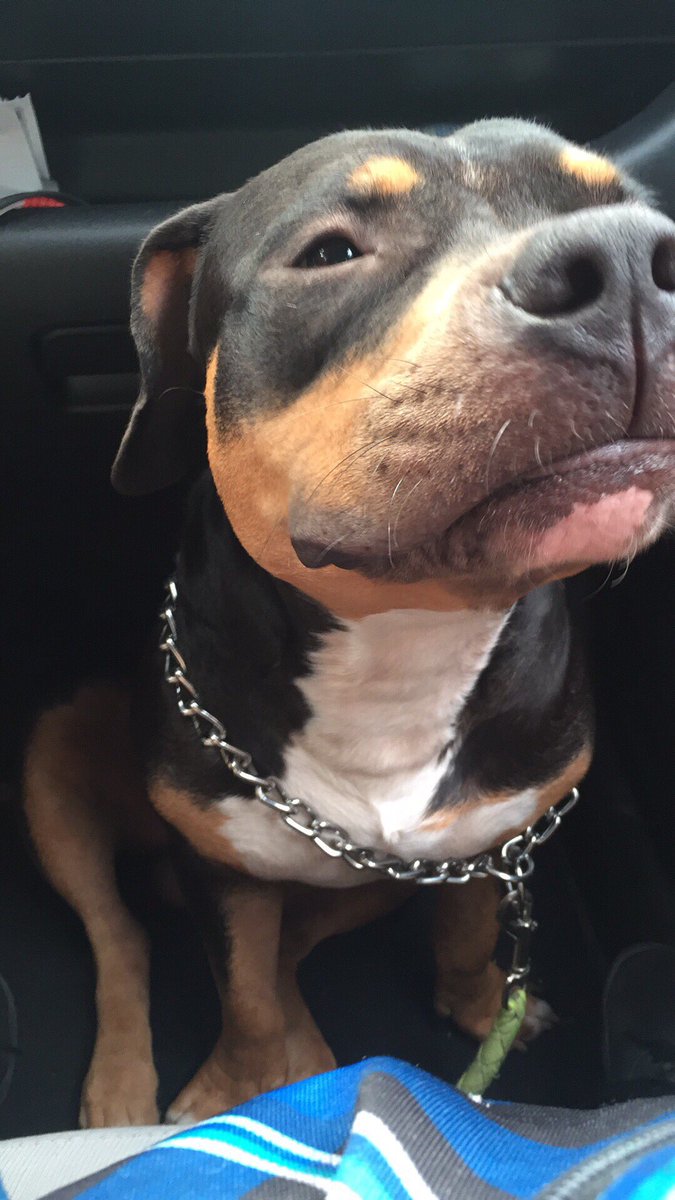 zeugisel's tweet photo. time for your check up 😘 https://t.co/hOGiBM6kCM