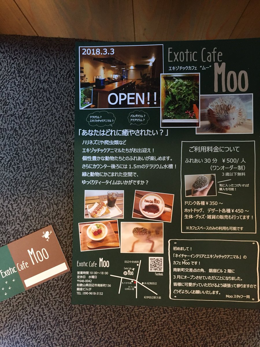 O Xrhsths Creeper Sto Twitter 明日3 3に 和歌山県田辺市でオープンするエキゾチックカフェ ムー カウンターの後ろにかまえる幅1 5mのオープンビバリウムは圧巻