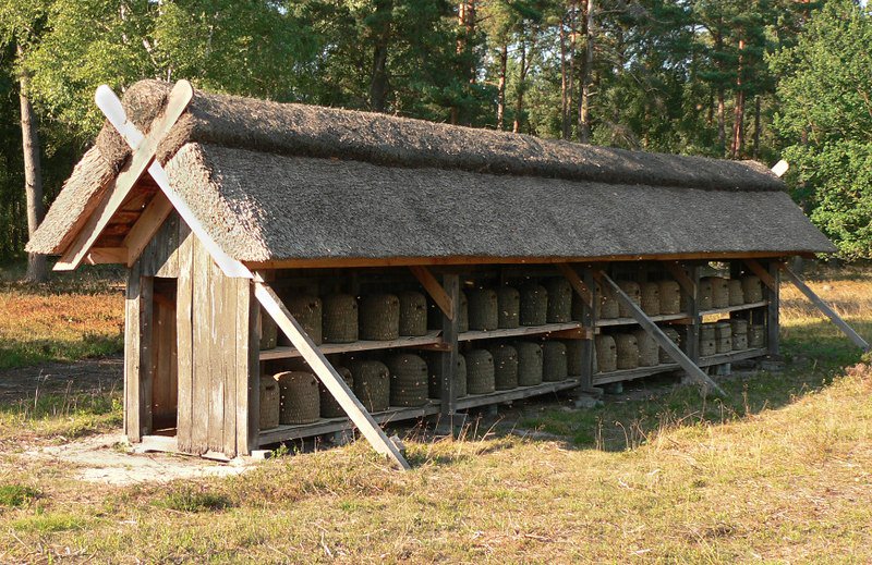 Traditionally bees were kept for their honey and wax (important in an era before sugar and indoor electric lights) in skeps, woven of straw and usually protected by a layer of dried cow dung. These skeps were vulnerable to rain and cold winds so they were usually kept under roof.