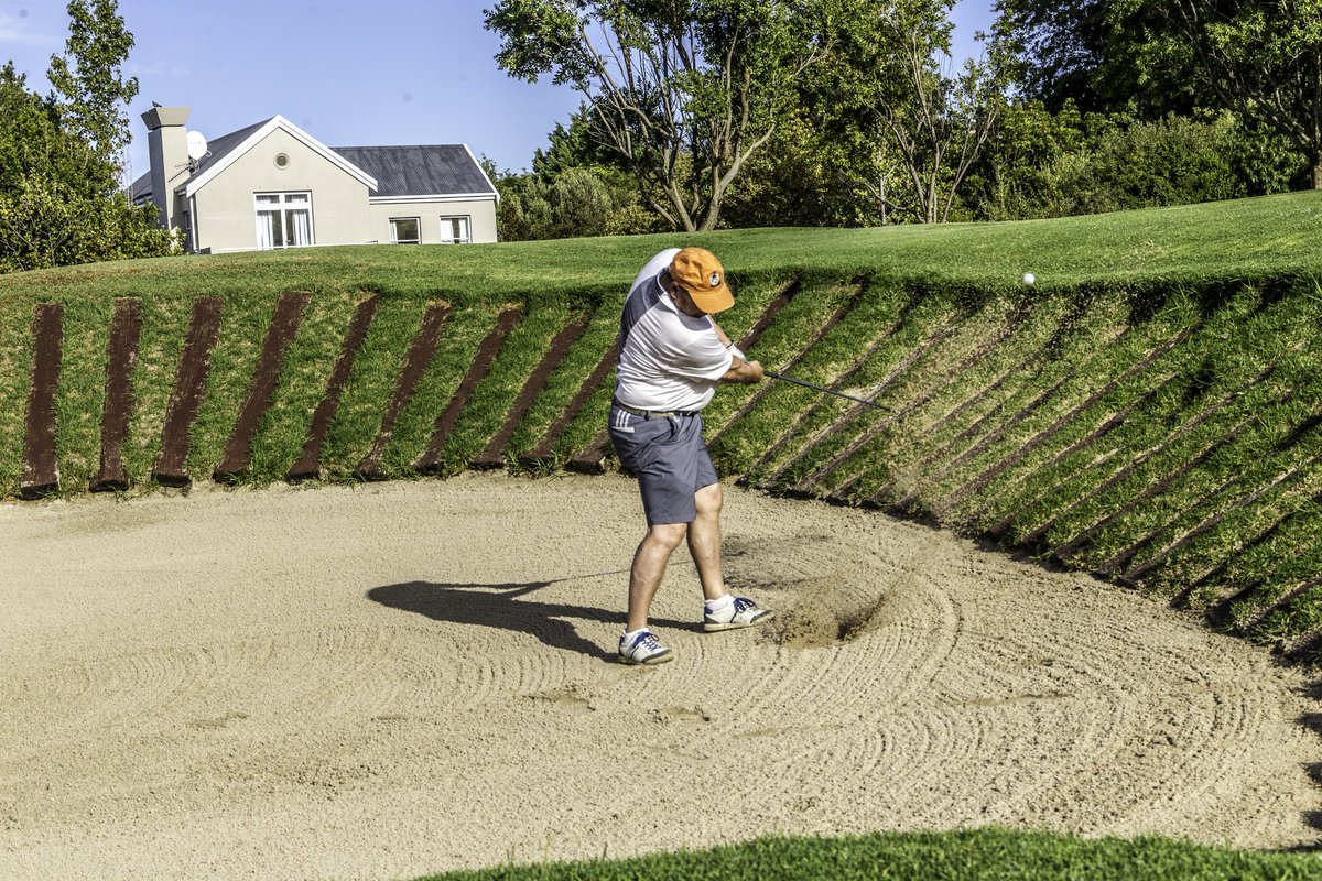 Reinhardt Hamman PLY tweet media