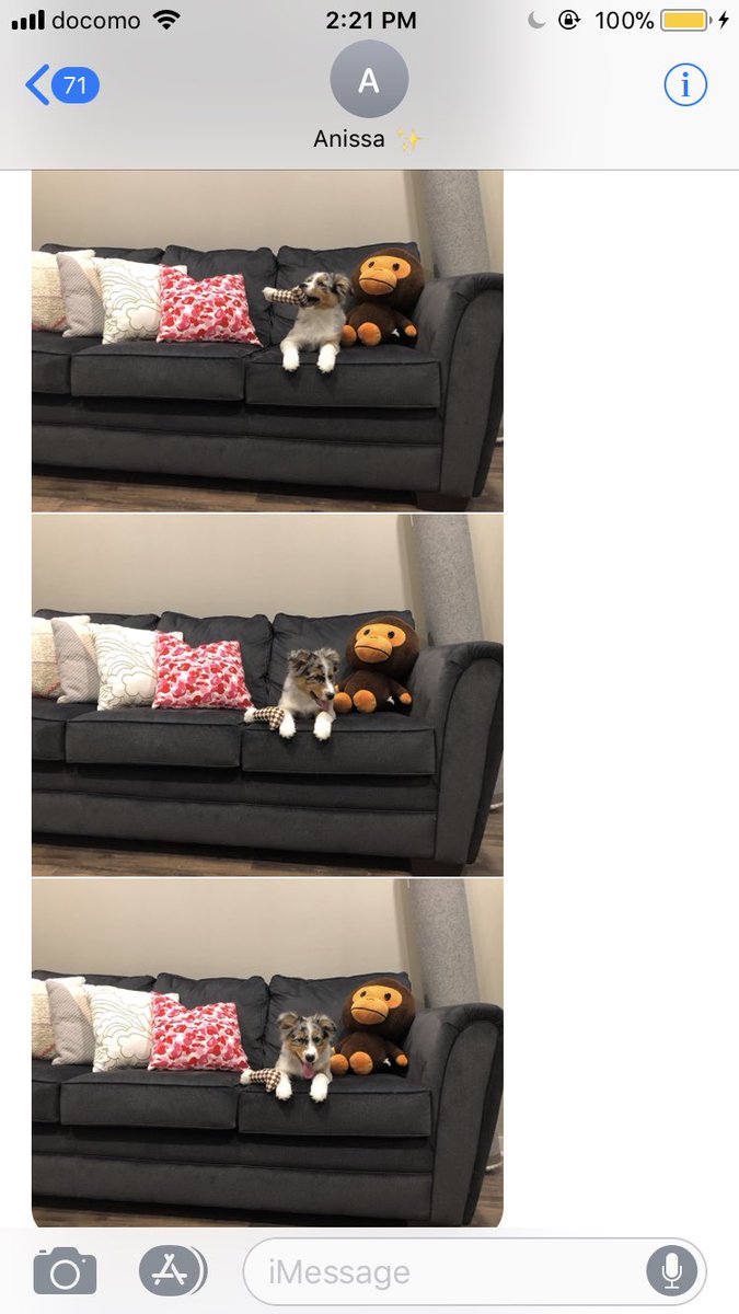 Jamal McClellan (@jmcc36) on Twitter photo 