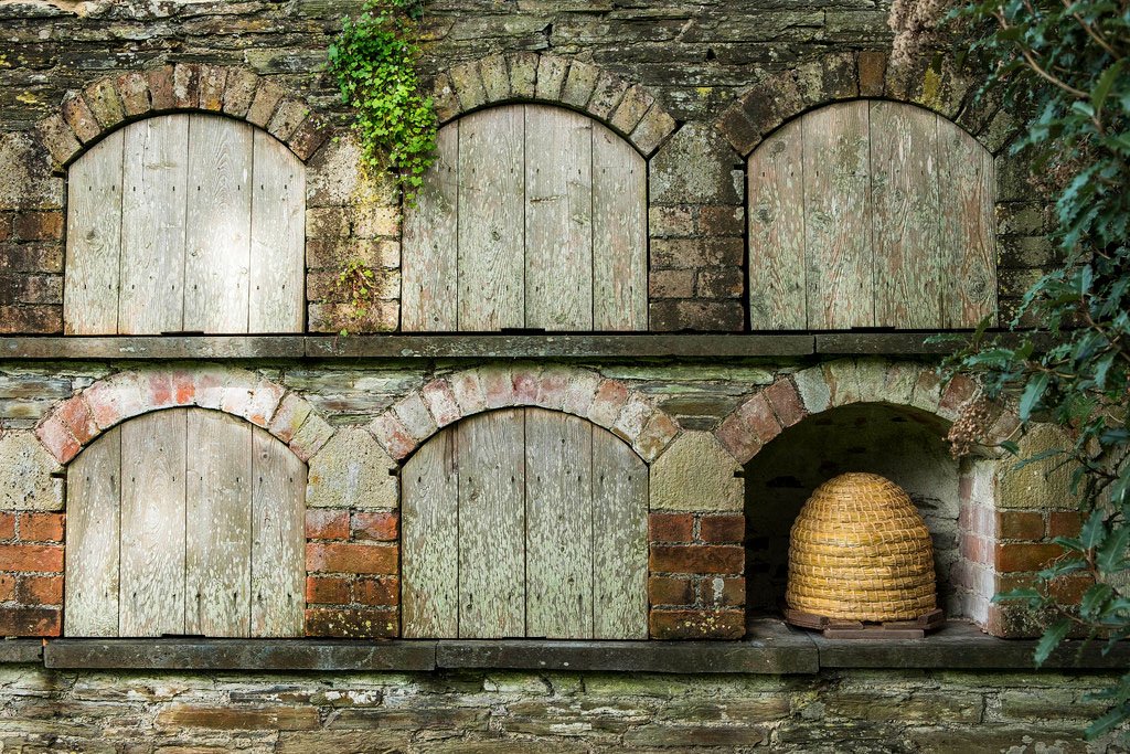 Today there are about 1500 true boles in Europe (but almost all in England and Scotland), and the number is actually increasing as they are valued for their charm as well as the increasing number of skep enthusiasts.