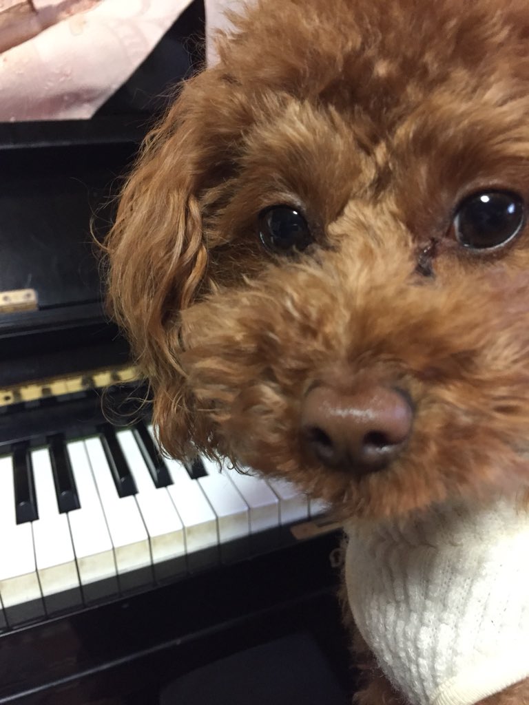 moa704 tweet picture